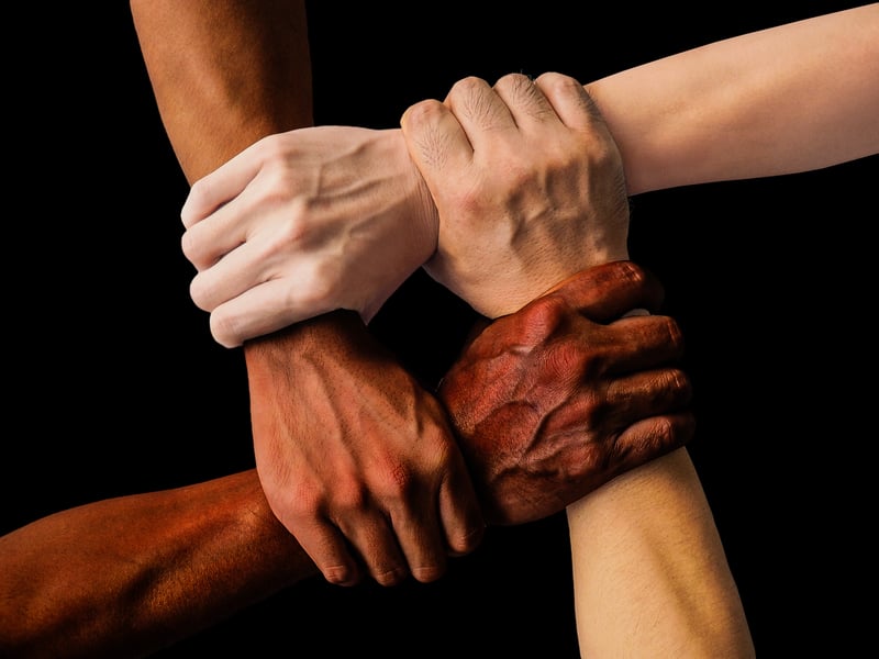 Team Collaboration